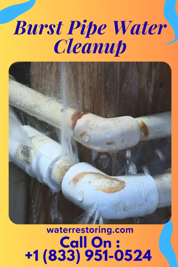 Burst Pipe Water Cleanup in Rutland, OH