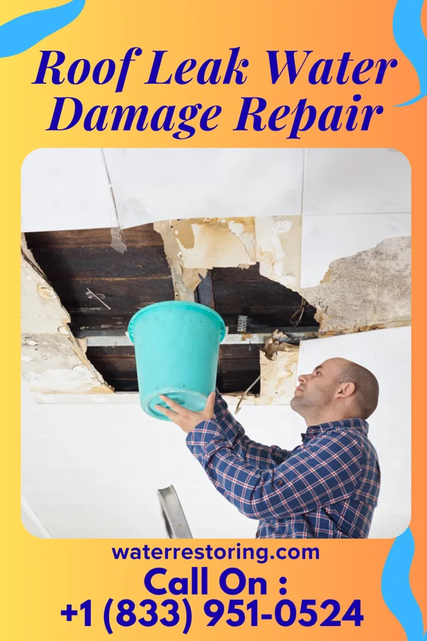 Roof Leak Water Damage Repair in Rutland, OH