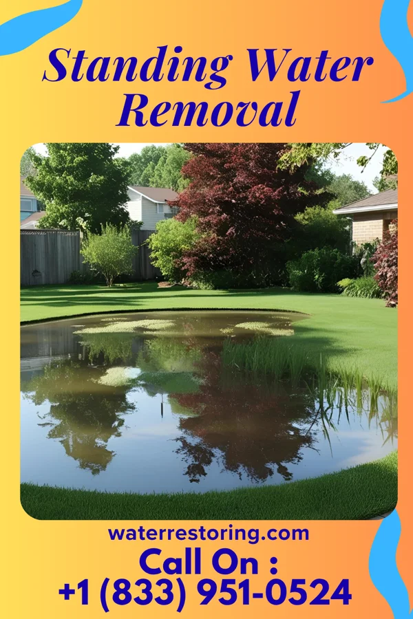 Standing Water Removal in Rutland, OH